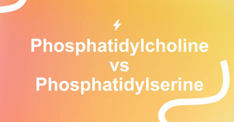 Phosphatidylcholine vs Phosphatidylserine