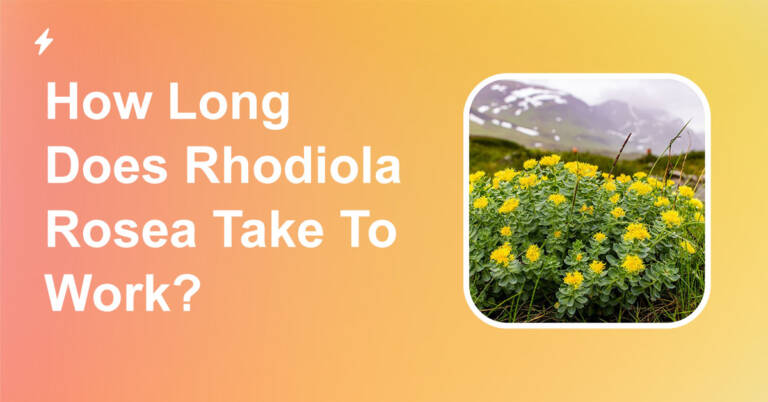 how long does rhodiola rosea take to work